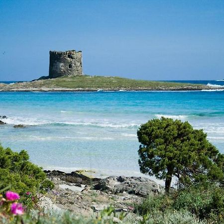 Vacanze Sardegna Apartment Santa Teresa Gallura Bagian luar foto